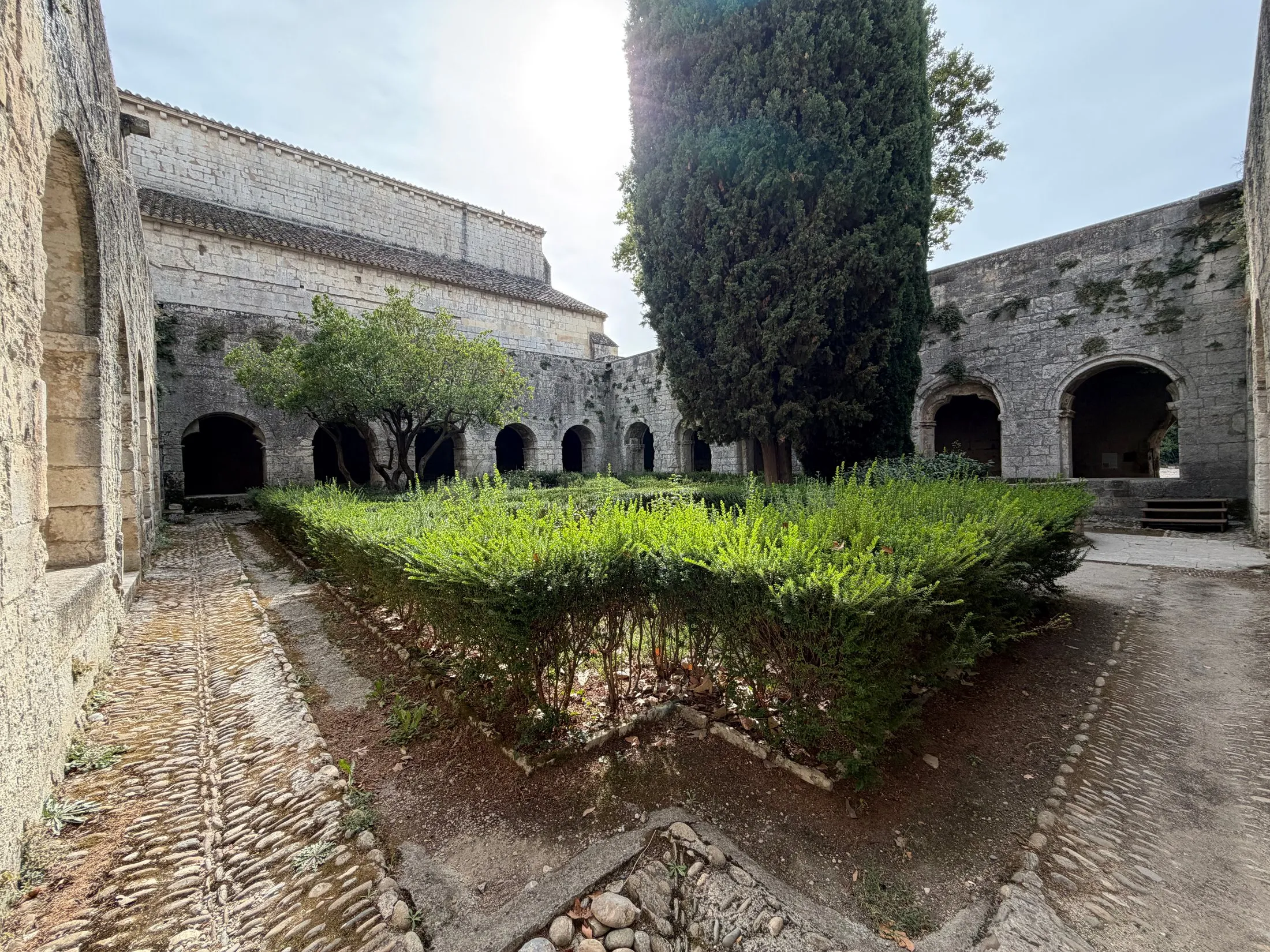 The cloister of the Abbaye de Silvacane